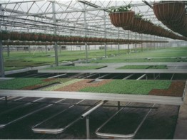 Roughbros Greenhouse