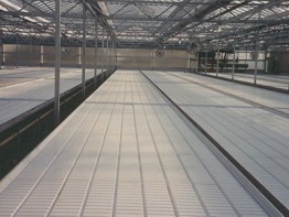 Roughbros Greenhouse