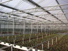 Roughbros Greenhouse