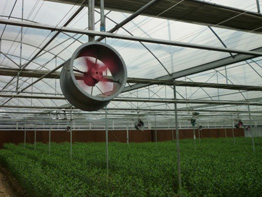 Roughbros Greenhouse