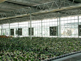 Roughbros Greenhouse