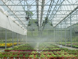 Roughbros Greenhouse