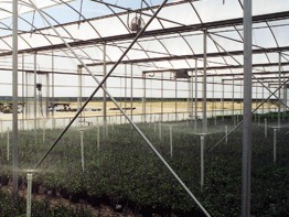 Roughbros Greenhouse