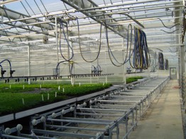 Roughbros Greenhouse