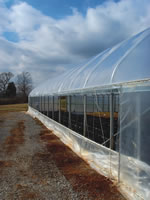 Roughbros Greenhouse