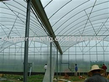 Roughbros Greenhouse