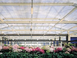 Roughbros Greenhouse