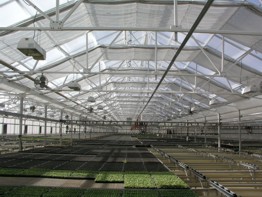 Roughbros Greenhouse